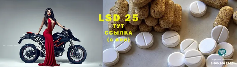 Лсд 25 экстази ecstasy  где купить наркоту  Горнозаводск 